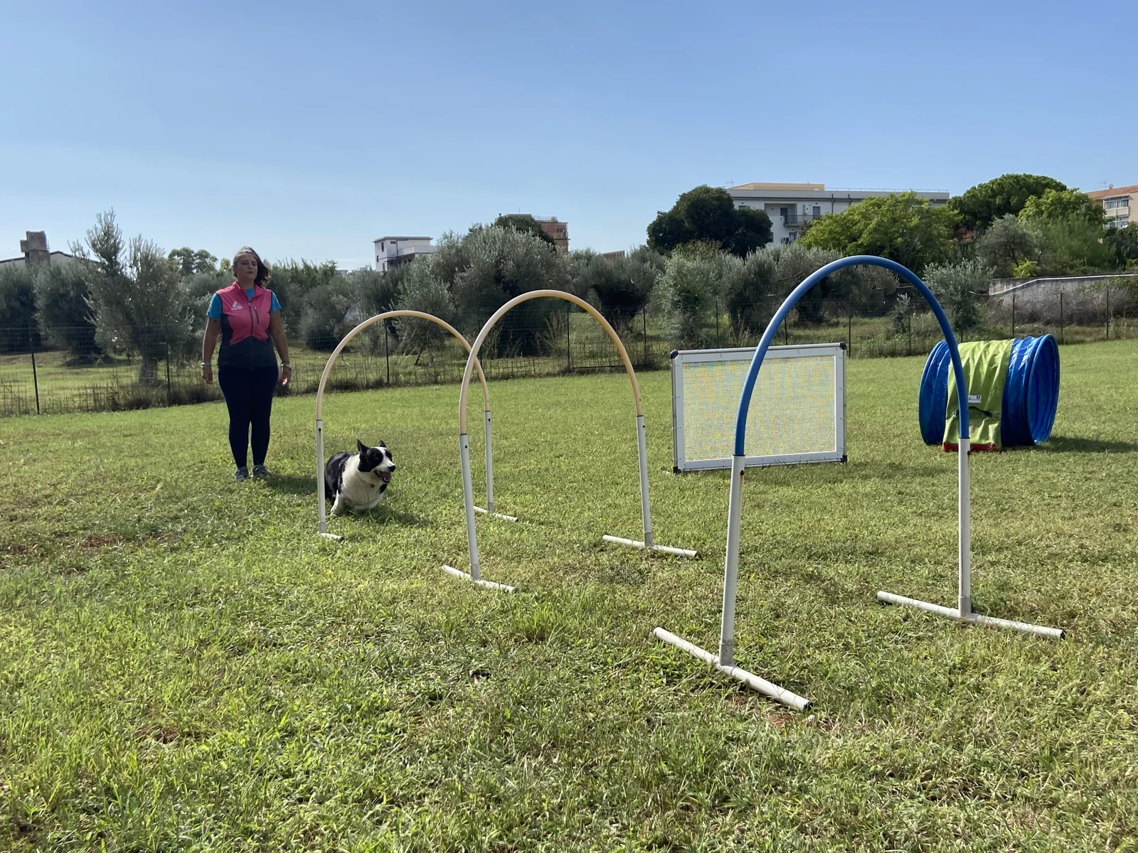 Lavinia e un cane durante un allenamento di Hoopers con archetti