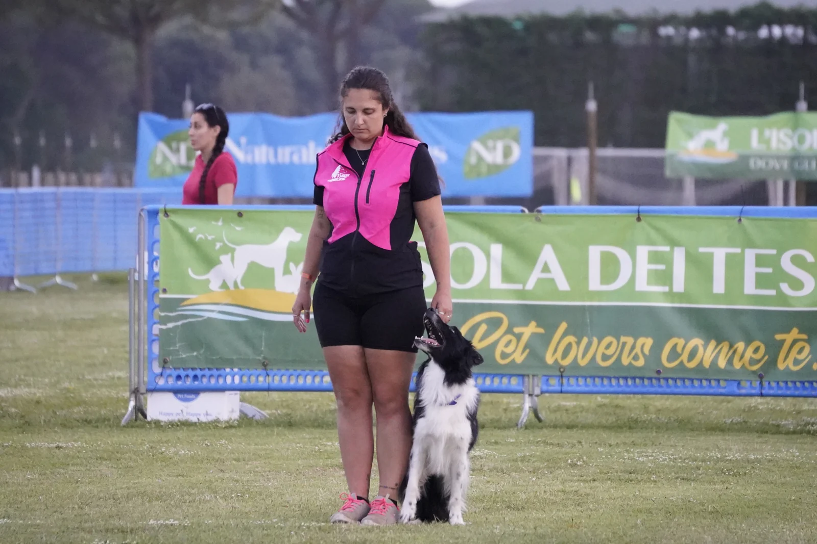 Lavinia e un cane lavorano insieme in campo